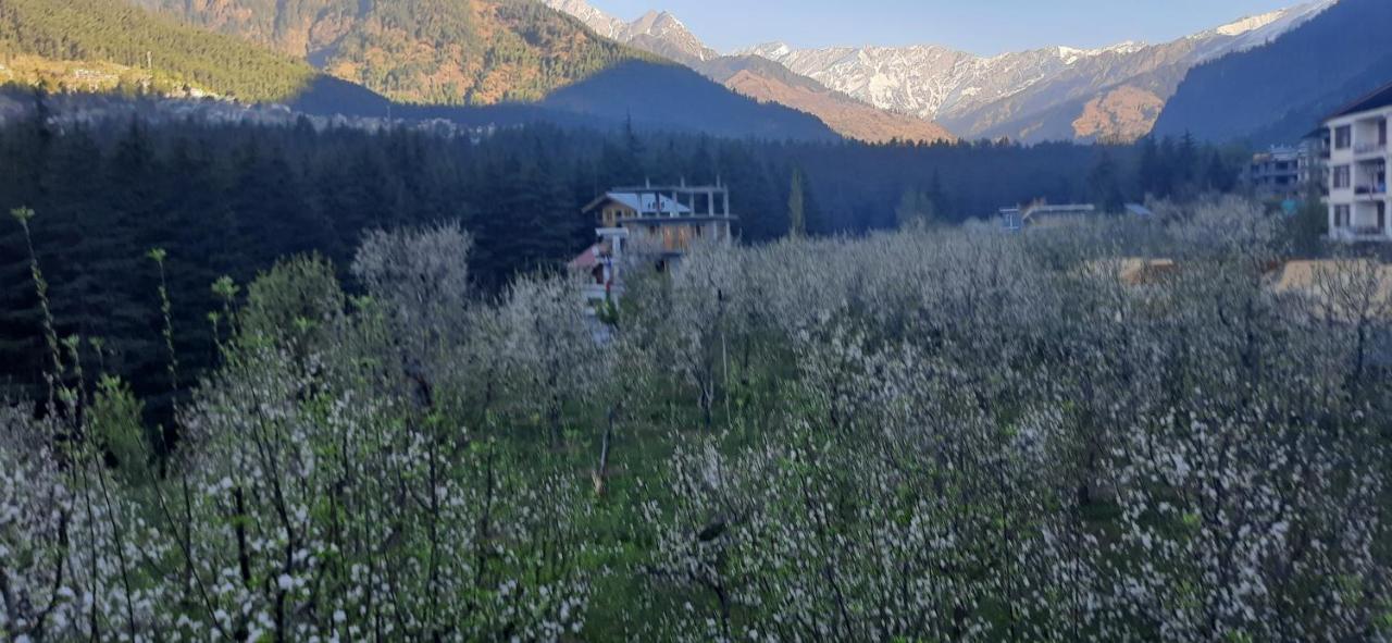 The Heaven'S Retreat Manāli Εξωτερικό φωτογραφία